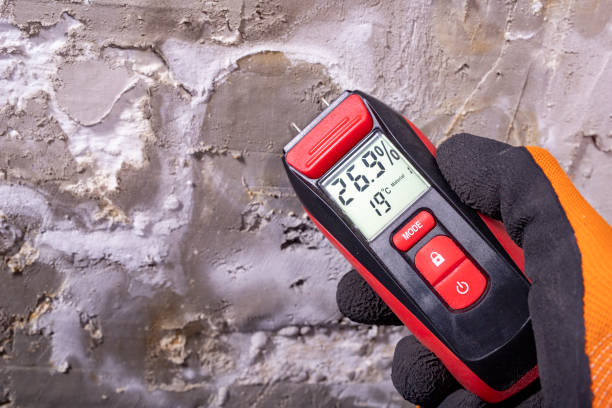 Best Basement Mold Remediation in Girard, PA